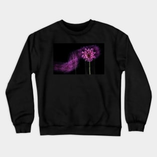 Pink Chrysanthemum Flower with Motion Blur and Black Background Crewneck Sweatshirt